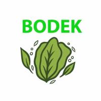 BODEK