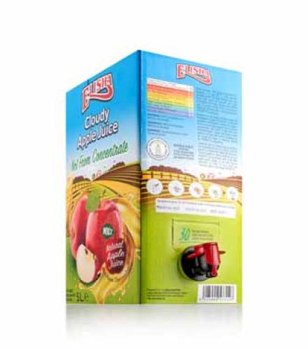 ELISHA APPLE JUICE 5L
