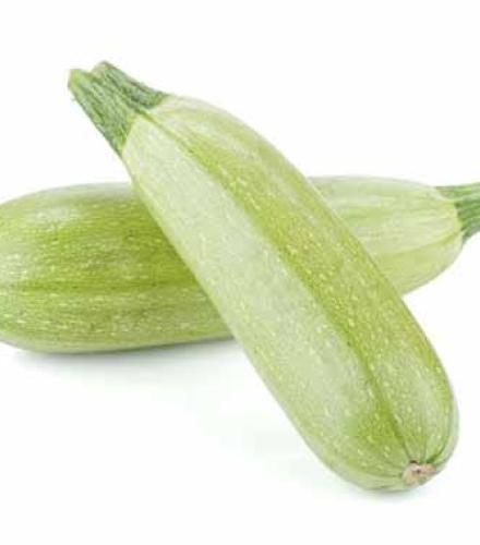 Zucchini