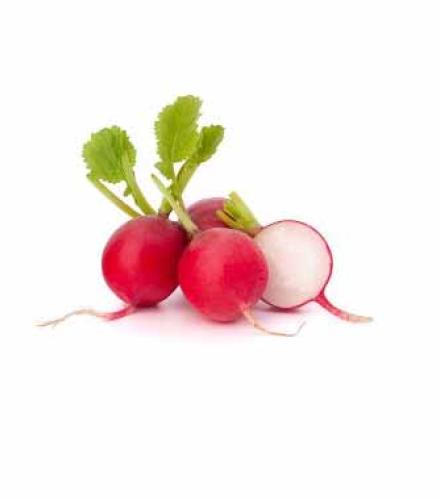 Radish