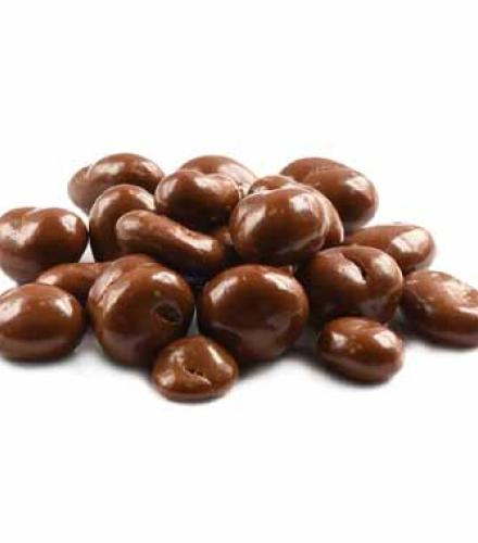 S/D CHOCOLATE CRANBERRIES