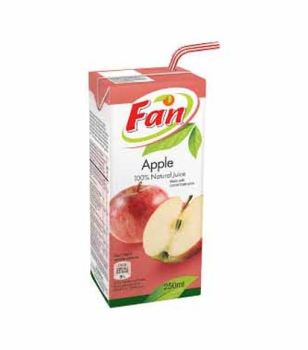 FAN APPLE JUICE 1L