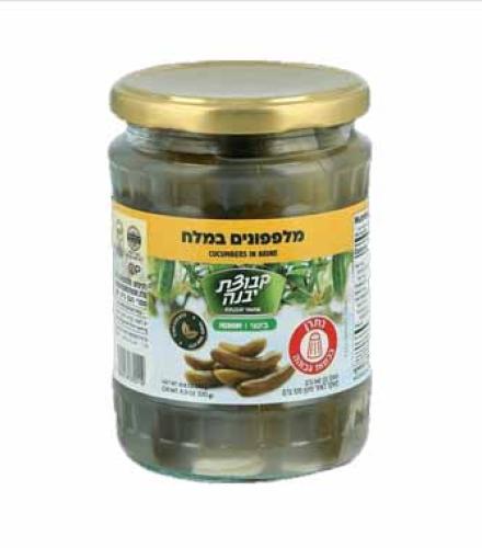 B/D CUCUMBER BRINE JAR