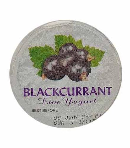 HERCZEL FRUIT YOGHURT