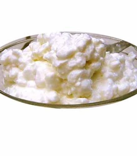 AVI COTTAGE CHEESE