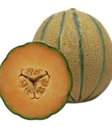Melon