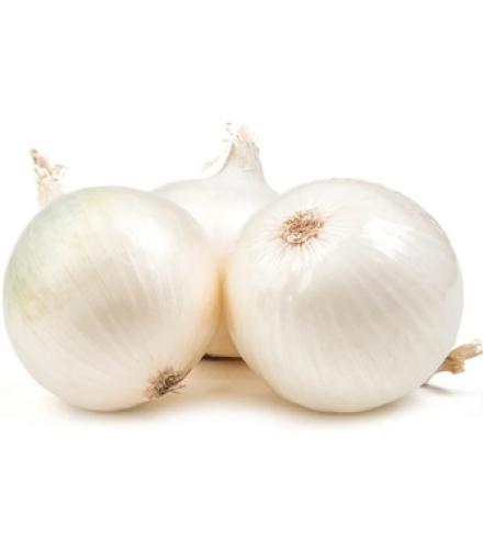 White Onion