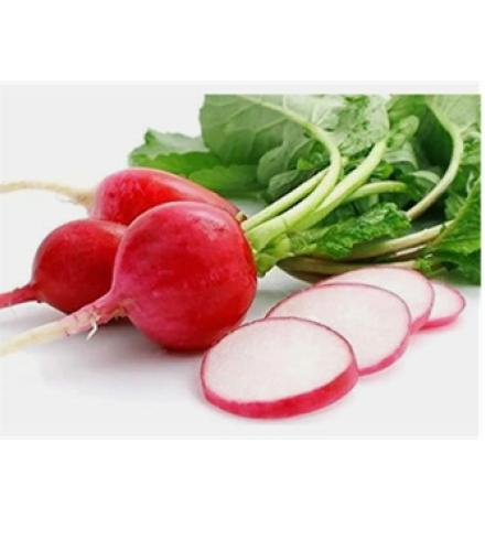 Radish