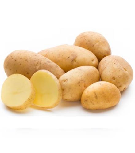 Potato