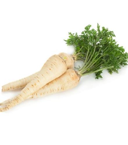Parsley root