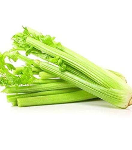 APEELING CELERY