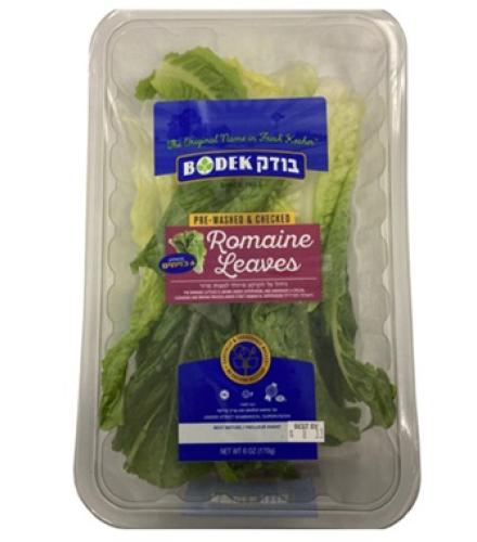 Vegetable - Bodek Romaine Lettuce 6 Oz K/P