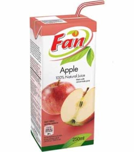 Fan carton of Fan 100% Natural Apple Juice 250ml 