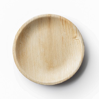 PALM LEAF PLATE 10\