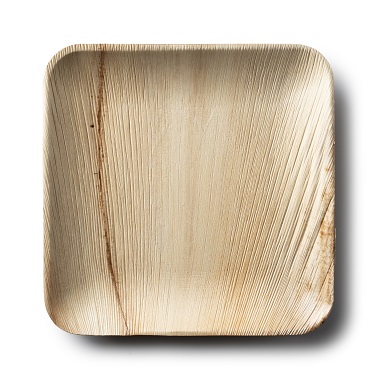 PALM LEAF PLEATE 6